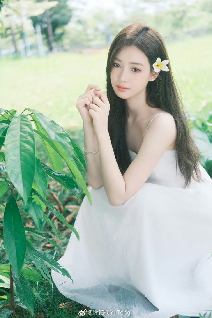 大江大河之岁月如歌 封面